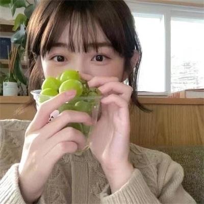 功夫兔与菜包狗第二季