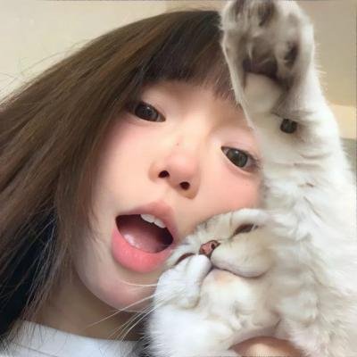 猫娘乐园